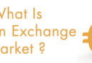 Foreign Exchange Market