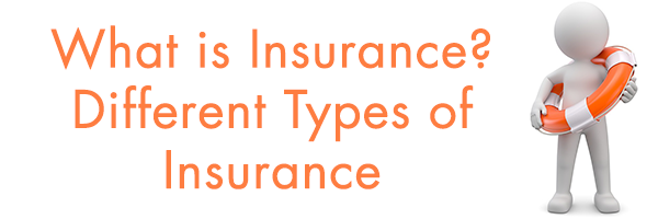 insurance